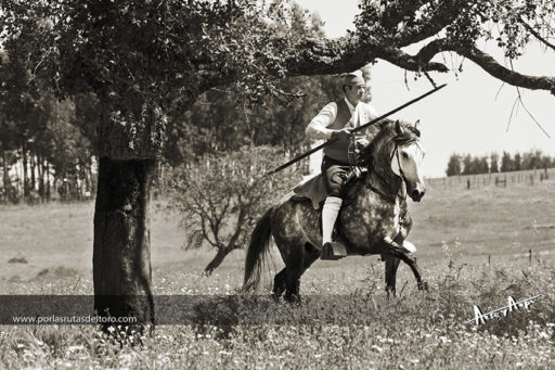 El manejo en Antonio Silva