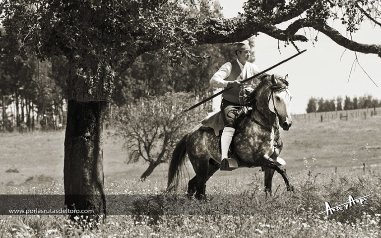 El manejo en Antonio Silva