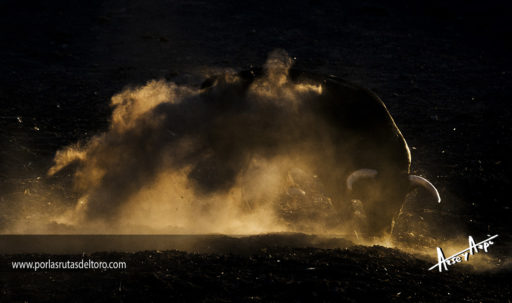 Levantera, luces y polvo