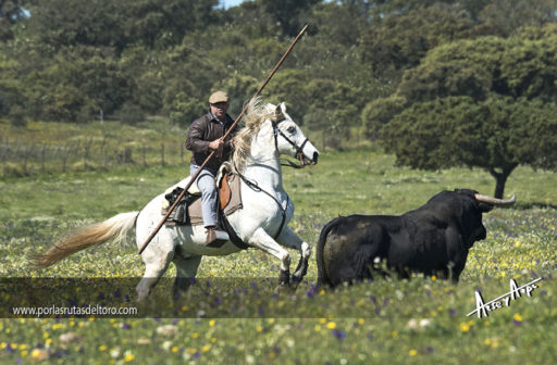 Época de candela, libros y decisiones en el Campo Bravo