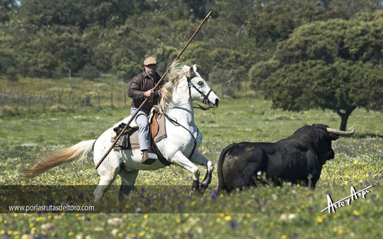 Época de candela, libros y decisiones en el Campo Bravo