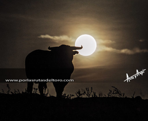 De lunas llenas y partos bravos