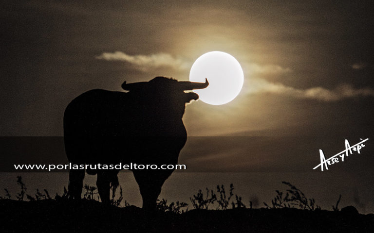 De lunas llenas y partos bravos