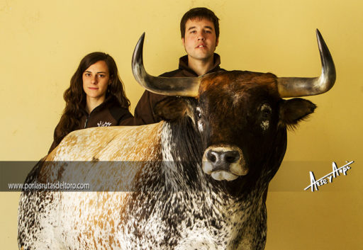 La leyenda del «Dorado»(y II)