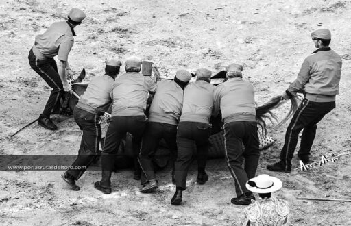 Tauromaquia en Blanco y Negro