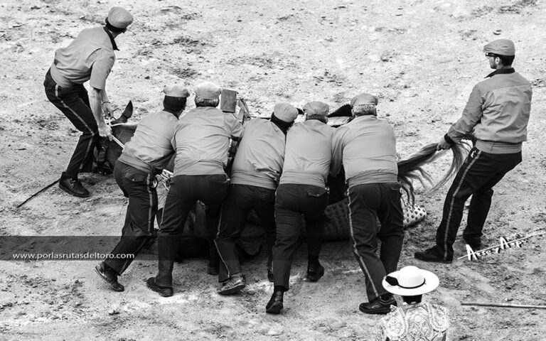 Tauromaquia en Blanco y Negro
