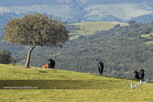Los «Cunhal Patricio» de Antonio Román