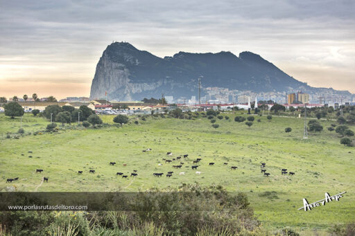 Hijos de D. Francisco Escarcena : «Vaya mañaita Leonor ….»