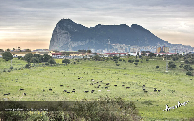 Hijos de D. Francisco Escarcena : «Vaya mañaita Leonor ….»