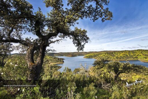 Los «parladés» portugueses de San Marcos