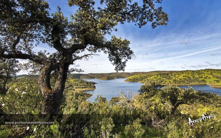 Los «parladés» portugueses de San Marcos